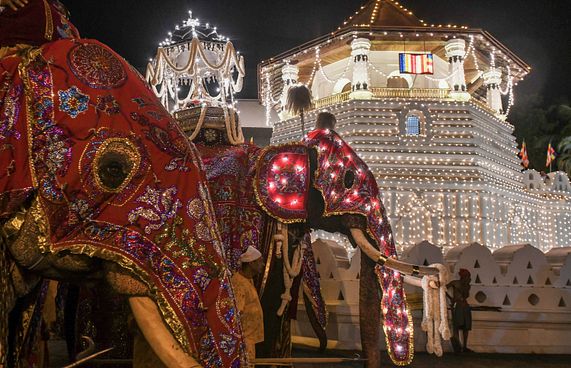 ހިންދޫންގެ އެއްވުމެއްގައި އެތެއް ރުޅިގަދަވެ ހައިޖާނެއް