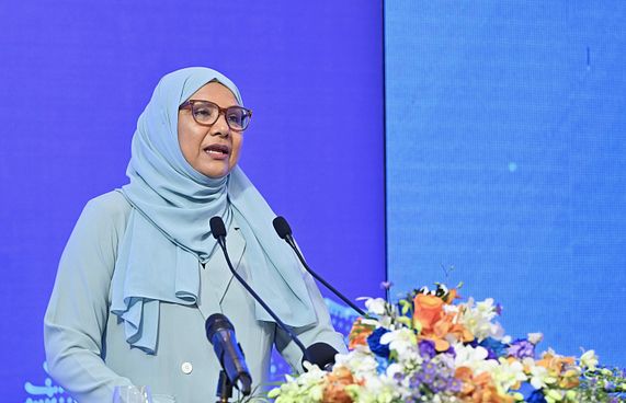 ތިން ސަރަހައްދެއްގައި ޑޮމެސްޓިކް ވަޔަލަންސް ޝެލްޓާ