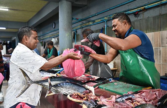 މަސްވެރިކަން ރަނގަޅުވާން ފަށައިފި