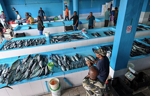 "ބިން ނުދީ ލަސްވަނީ އެހެން ދެ ބަޔަކަށް ދީފައި އޮތުމުން"