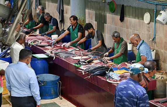 މަސްވެރިން އޮކްޓޯބަރު 1ގެ ކުރިން ދަފްތަރުވާން ޖެހޭ