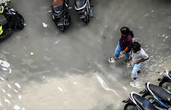މޫސުން ގޯސްވާތީ ސަމާލުވެ ރައްކާތެރިވާން އިލްތިމާސްކޮށްފި