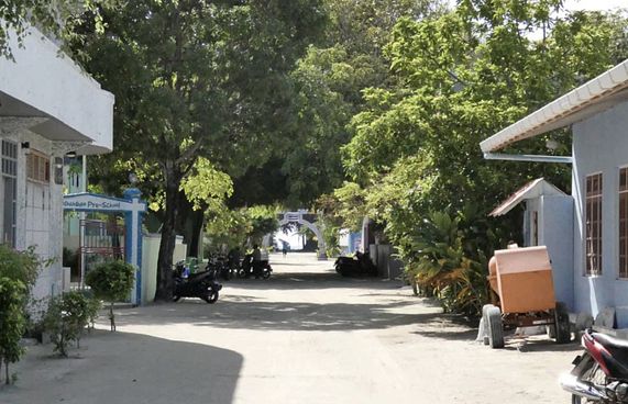 ޑޮކްޓަރުކަން ކިޔަވައި ރާއްޖެ އަންނަން އުޅެނިކޮށް މަރު