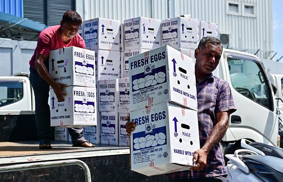 އެސްޓީއޯގެ ރޯދަ ސްޓޮކް: ބިހާއި އަލުވި ވެސް ބާޒާރަށް