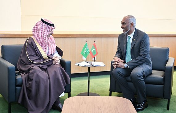 ދެގައުމެއްގެ މިނިސްޓަރުންނާ ރައީސް ބައްދަލުކުރައްވައިފި