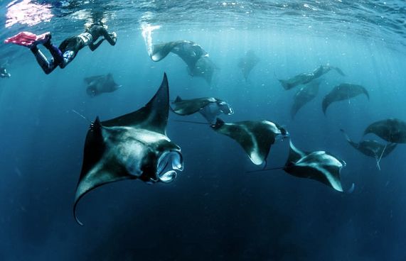 93 ސަރަހައްދުގެ ތެރެއިން ބެލެހެއްޓެނީ ފަސް ތަނެއް!