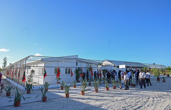 މަގުމަތީގައި އުޅޭ ބުޅާތަކަށް "އޮޅު ހިޔާ" ހުޅުވައިފި