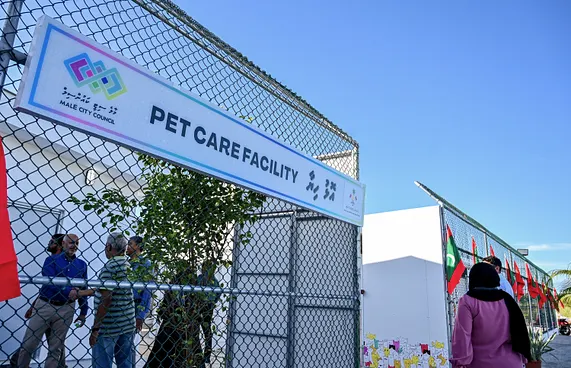 އޮޅުހިޔާގެ ބައެއް ތަންތަން މަރާމާތުކޮށްދޭނެ ބަޔަކު ހޯދަނީ