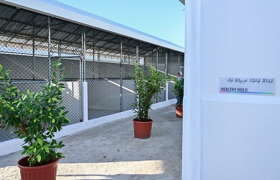 އޮޅުހިޔާ މަރާމާތުކުރާނެ ބަޔަކު ހޯދަން އަލުން އިއުލާނުކޮށްފި