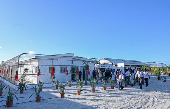 ބުޅަލުގެ ކާނާ ސަޕްލައިކޮށްދޭނެ ބަޔަކު ހޯދަނީ