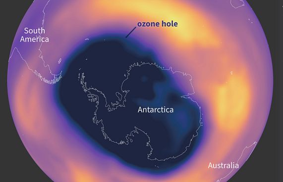 އޯޒޯންގެ ބާގަނޑު 2066 ގައި އެއްކޮށް ބެދޭނެ!
