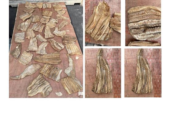 ބައިޓަނުގެ މިޔަރު ބޭރުކުރަން އުޅުނު ކުންފުނި ސިއްރު