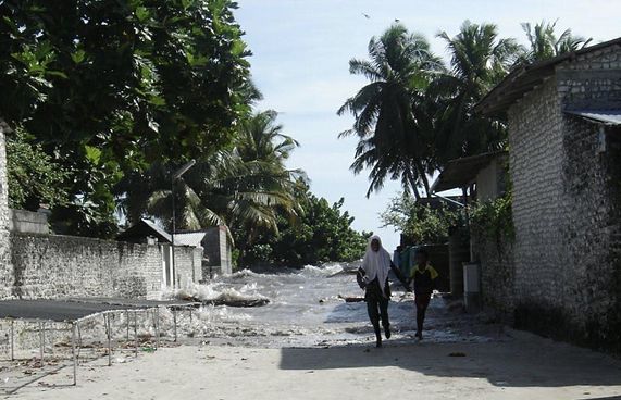 މަޝްހޫރުވި ފޮޓޯ އިން ނުފެންނަ ހިތްވަރާއި ބަދަލު!