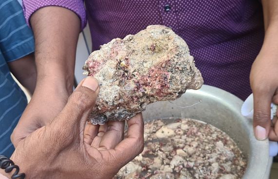 އަކިރި ނަގަން އުޅުނު މީހަކަށް "މާވަހަރެއް" ފެނިއްޖެ