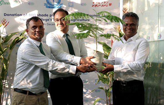 އެމްއައި ކޮލެޖުން 300 ގަސް ހަދިޔާކޮށްފި