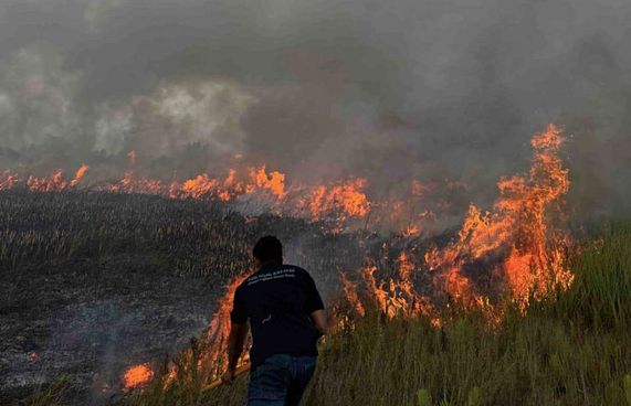 އައްޑޫ މަތިކިޅި ޗަސްބިމުގައި އަލިފާން ރޯވެއްޖެ