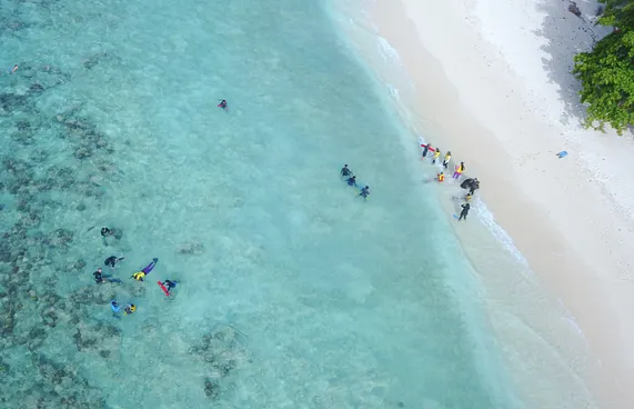 ރިސޯޓެއްގައި ދެ ޓޫރިސްޓަކު ގެނބިގެން މަރުވެއްޖެ