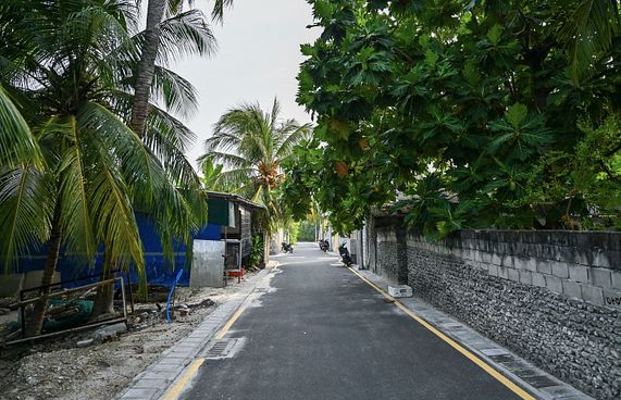 ތިނަދޫގައި ހަށިވިއްކަން ތިބި ދެ މީހަކު އަތުލައިގެންފި