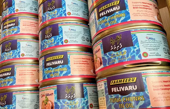 މަސްވެރިކަން ދަށްވެ، ތެޔޮ މަސްދަޅު ވިއްކާ އަދަދަށް ލިމިޓެއް