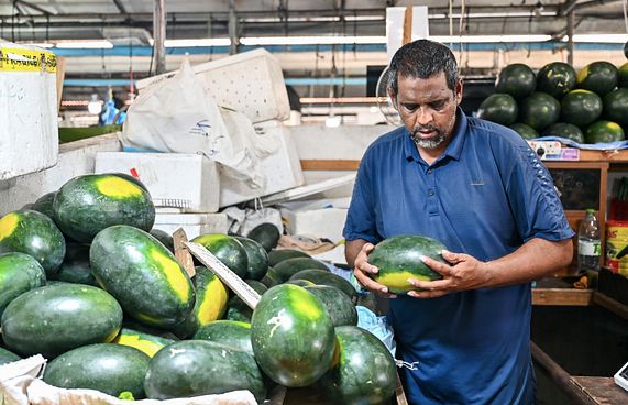 ރޯދައަށް ތޮއްޑޫ އިން 600 ޓަނުގެ ކަރާ ހައްދައިފި