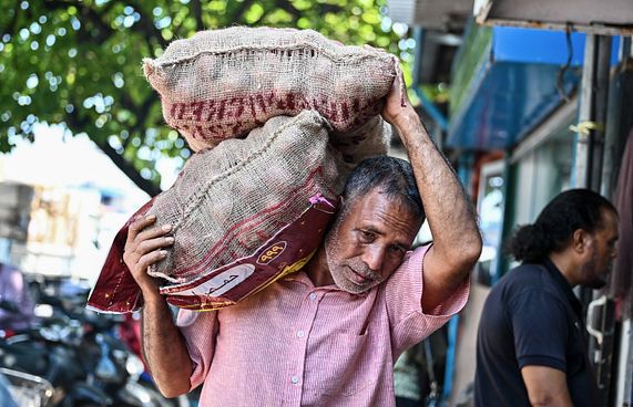 އެސްޓީއޯއިން ފިޔާ ކިލޯއެއް 15ރ. އަށް ވިއްކަނީ