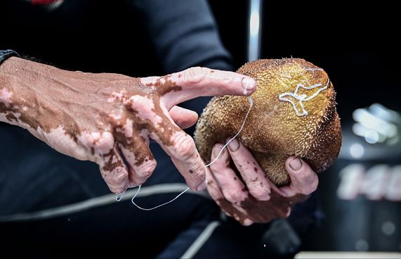 ހުއިފިލަނޑާ ނީލަމުގައި ވިއްކަނީ ޕީޖީގެ ލަފާގެ މަތިން: ޕޮލިސް