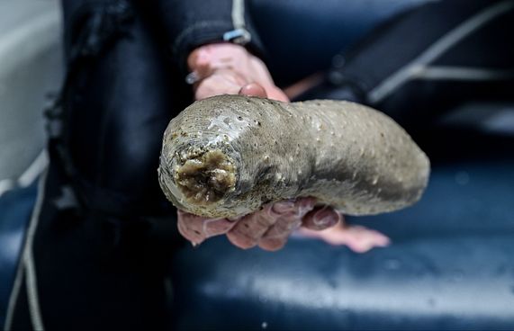 ހުއިފިލަނޑާގެ މައްސަލާގައި ފުލުހަކު ސަސްޕެންޑްކޮށްފި