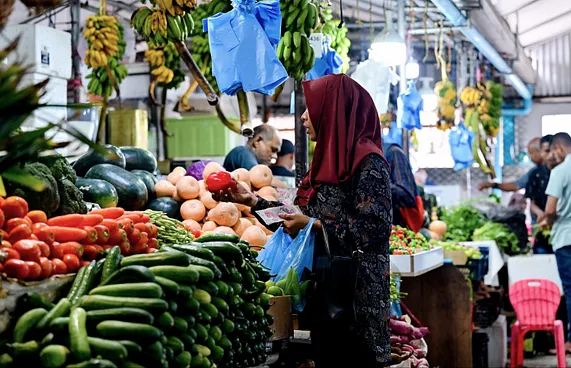 މޭވާ އާއި ތަރުކާރީ އެސްޓީއޯއިން އެތެރެކޮށް ވިއްކަނީ