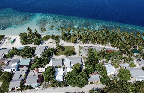 ހާތިމް މި ނުކުތީ ރިނބުދޫ ފަޅުވިޔަނުދީ ދިރުން ގެންނަން