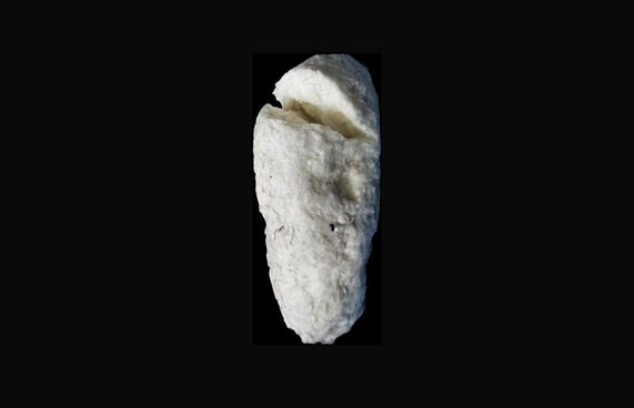 ފިޔޯރީގެ ފަޅުތެރެއިން "މާވަހަރެއް" ފެނިއްޖެ