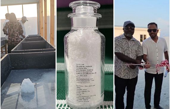 ދިއްދޫގައި ލޮނު އުފައްދައި ޖަޕާނަށް އެކްސްޕޯޓްކުރަނީ