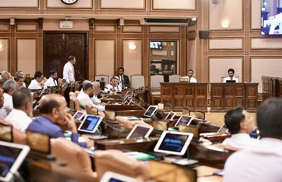 ދުންފަތުގެ ބިލް ބަލައިގަނެ، ވަގުތީ ކޮމިޓީއަކަށް