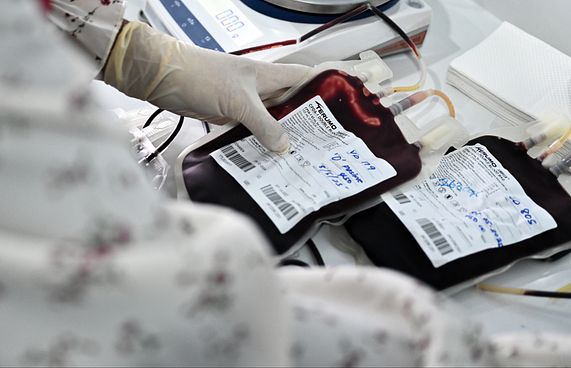 ތެލަސީމިއާ ކުއްޖަކު ލިބިދާނެ ކައިވެނި ހުއްޓުވުމުގެ ބަހުސް