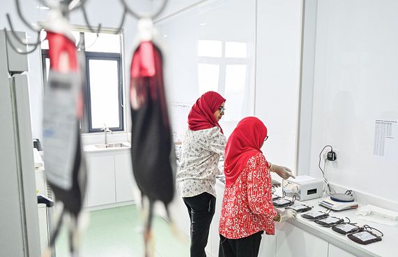 މާދަމާ އިން ފެށިގެން ތެލެސީމިއާ މީހުންނަށް އެލަވަންސެއް