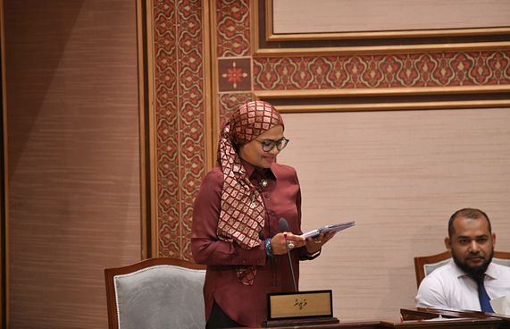 ބުޅާ ފެސިލިޓީއަށް އަހަރަކު 10.8 މިލިއަން ހަރަދުވާނެ