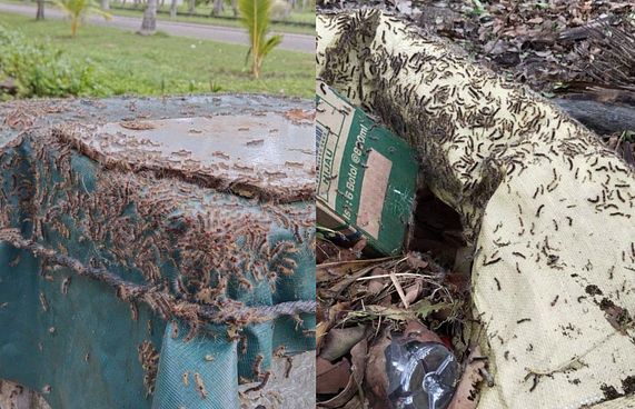 ކާޑެއްދޫ އެއާޕޯޓަށް ހުވަނީގެ އުނދަގޫ ބޮޑުވެފައި