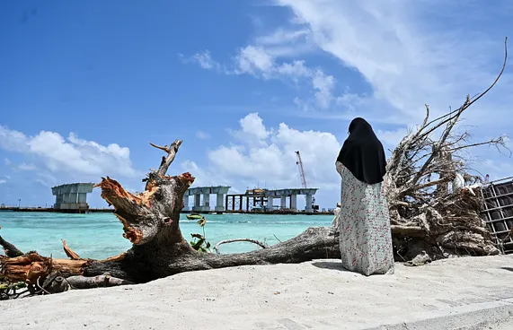 ބަލަން ހުއްޓާ ވެއްޓުނީ އަމިއްލަ އަތުން އިންދި ގަސް!