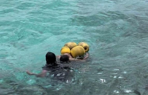 ގެނބޭތަން ފެނިގެން ސަލާމަތްކޮށްދިނީ ސާފިން ޗެމްޕިއަން