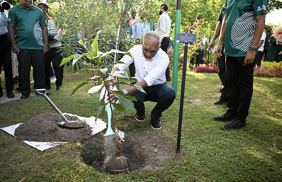 ވެށި ހިމާޔަތްކުރުމަކީ ގައުމީ ޒިންމާއެއް: ރައީސް
