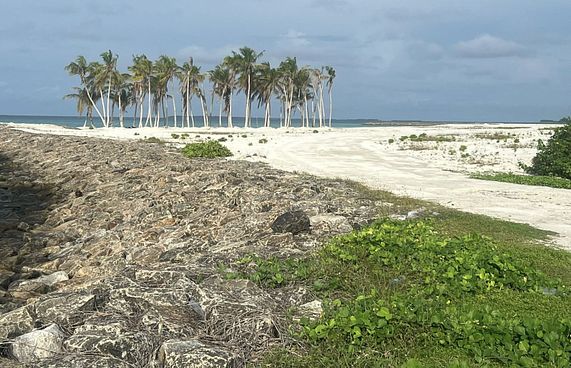 ހަންކެޑެ މަޝްރޫއު ހުއްޓާލުން ގޯސް: އަޒާން