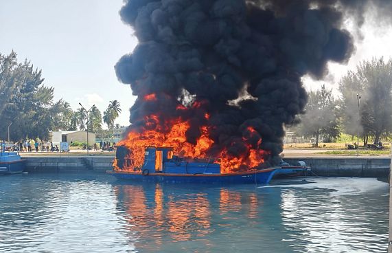 ވިލުފުށިން ރޯވި ދޯނި ވެރިމީހާގެ 37 ޕަސެންޓް ފިހިފައި