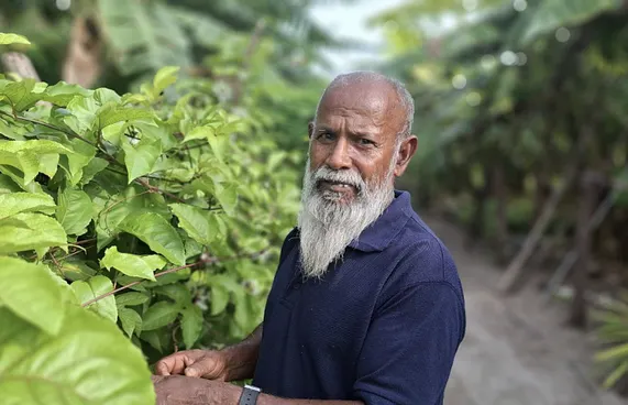 70 އަހަރާ ގާތްކުރަނީ، މަސައްކަތުގައި އަދިވެސް 100