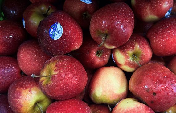 އާފަލެއްގެ އަގު 10ރ. އިން މައްޗަށް