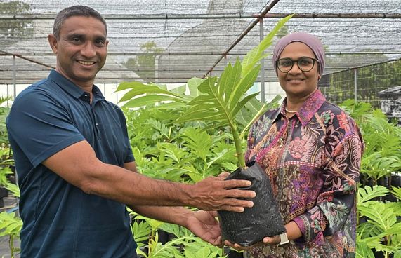 ށ. އަތޮޅުގެ ރަށްތަކަށް 1،000 ގަސް ހަދިޔާކޮށްފި