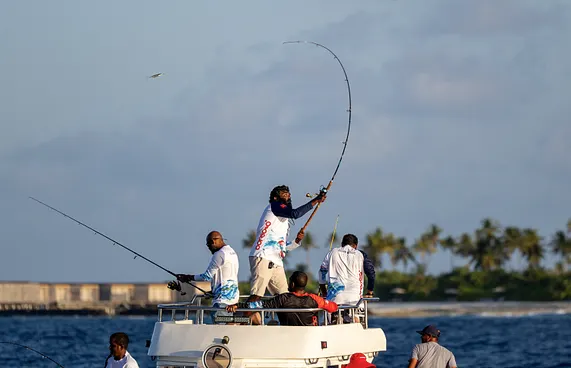 އުރީދޫގެ މަސް ރޭސް މިފަހަރު މާފުށީގައި
