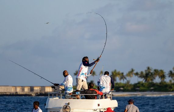 އުރީދޫ އެޕަށް އުރީދޫ ޑިޖިޓަލް މަސް ރޭސް!