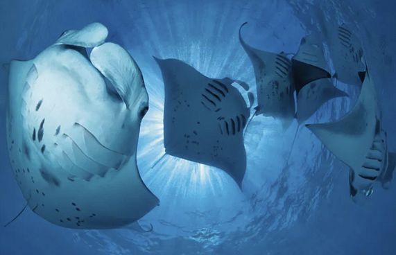 ބ. އަތޮޅުގެ "ހިތް" ހަލާކުކޮށްލަން ދޫކޮށްނުލާ!