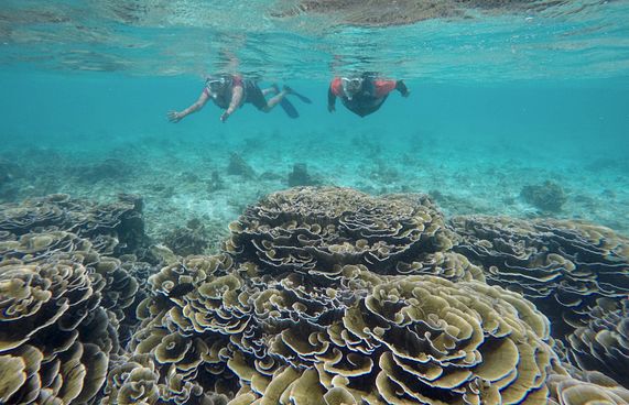 ވެއްޓަށް ގެއްލުން ލިބޭ އެހެން ޕްރޮޖެކްޓުތައް ހުއްޓާލާ!