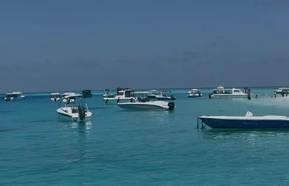 އޮޔާ ދިޔަ ދެކުއްޖަކު ސަލާމަތްކުރަން އުޅުނު މީހަކު ނިޔާވެއްޖެ