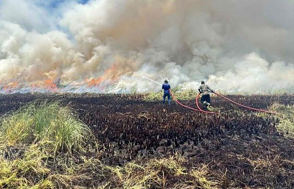 އައްޑޫގެ ރީތި އިކޯ ގާޑެން "އަންދާލައި" އަޅިއަށް